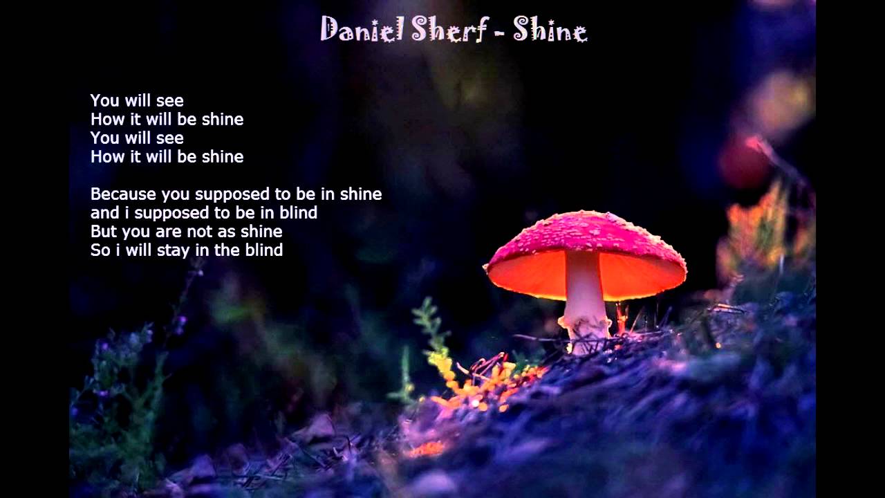 Daniel Sherf - Shine