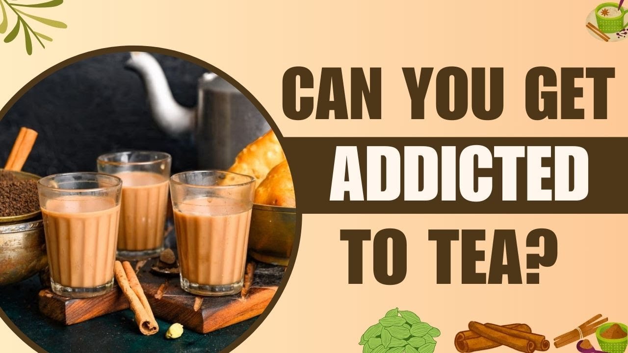 Health Care Tips: Drinking too much tea? Here's How Severely It Can Affect Your Body