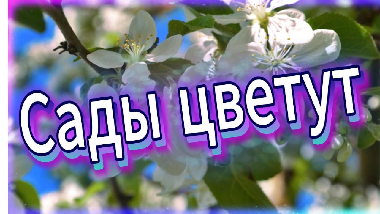 Сады цветут.... В память о прекрасной Анны Герман