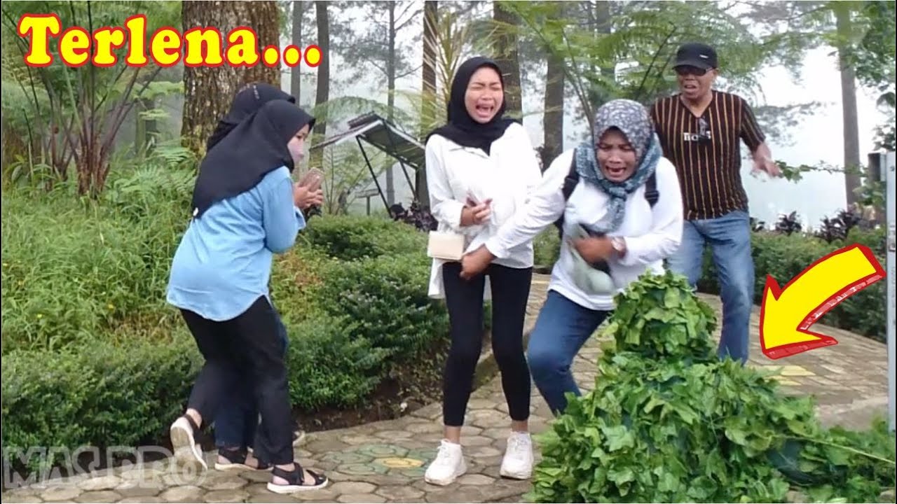 Terlena oleh suasana || Bushman prank lucu