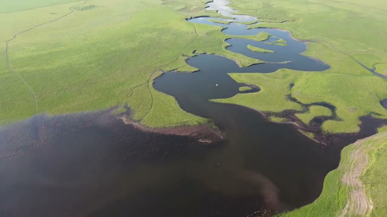Узинский залив