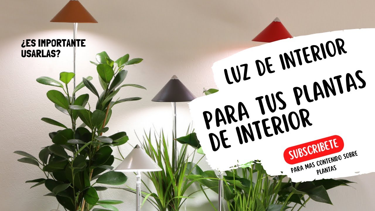 Luces de interiores- Lumens? cuanta luz necesitan mis plantas?