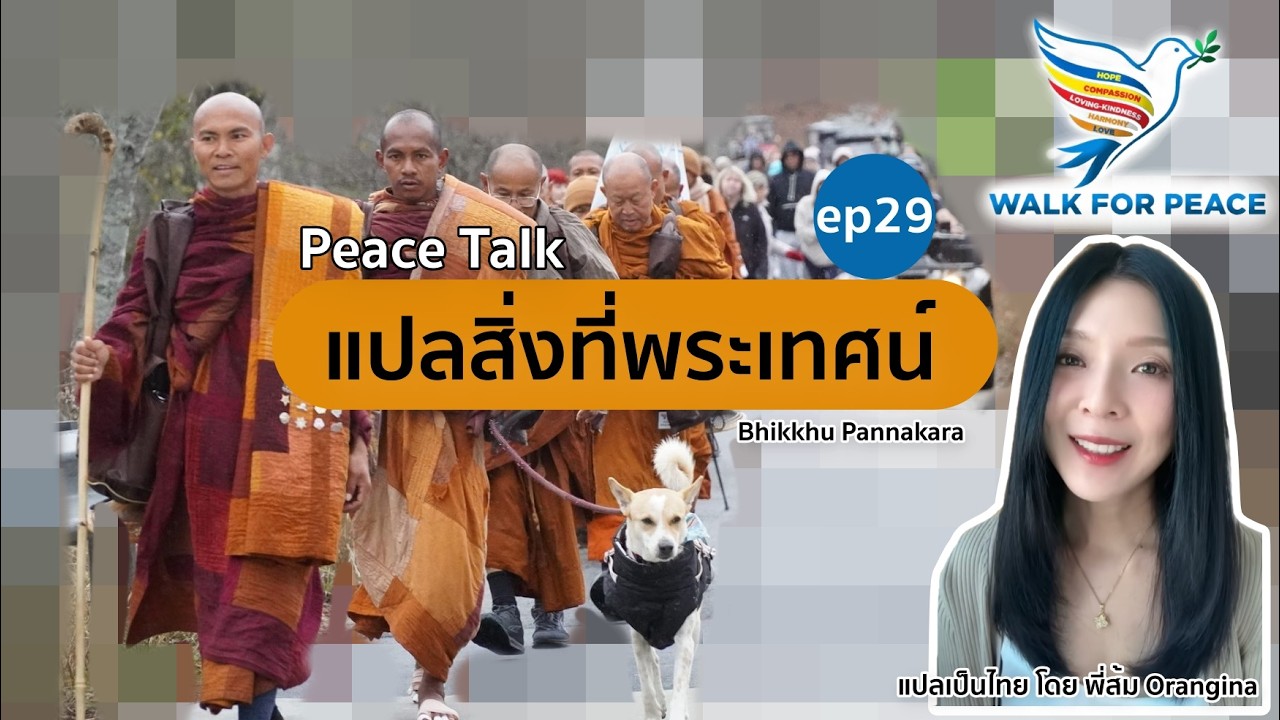 แปลสิ่งที่พระเทศน์ ep29 #walkforpeace 