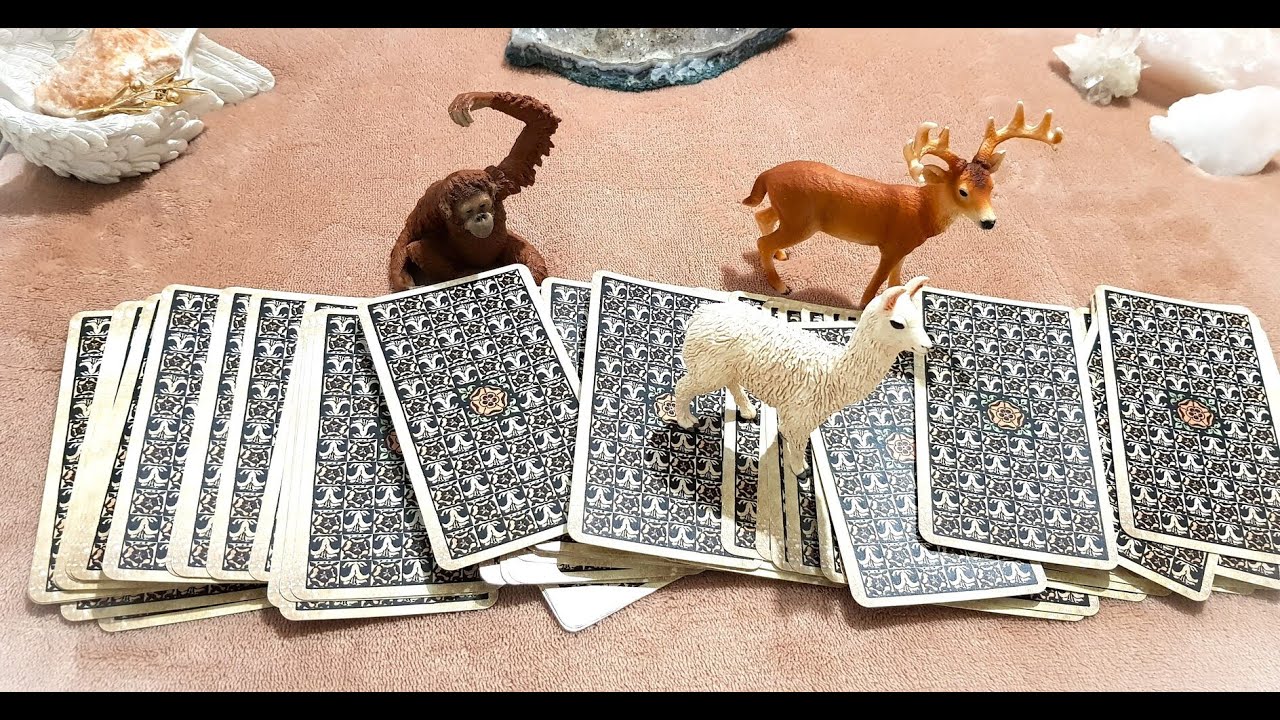 💭QUÉ TIENE PENSADO HACER // CÓMO LLEVA TU ACTITUD ? //  EL TAROT TIENE UN MENSAJE PARA TI 🕯️✉️
