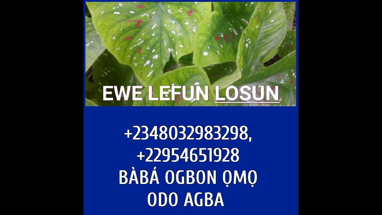 ÌWULO EWE LEFUN LOSUN+2348032983298, +2348089038658, +22954651928, +2250584811131