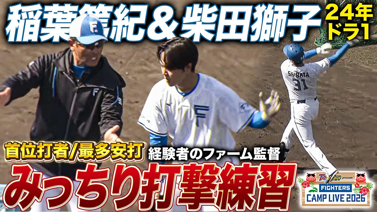 柴田獅子＆稲葉篤紀ファーム監督がマンツーマン打撃練習‼️初の一軍打席へ向けて精進中＜2/12ファイターズ春季キャンプ2026＞