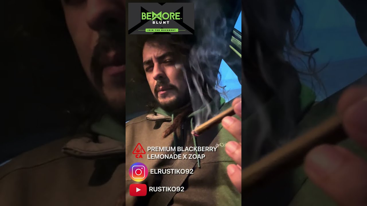 BEMORE BLUNT INFUSED CHILENO DEGUSTANDO BLUNT INFUSIONADO KIEF RESIN THC ALTO SANTA ROSA CALIFORNIA