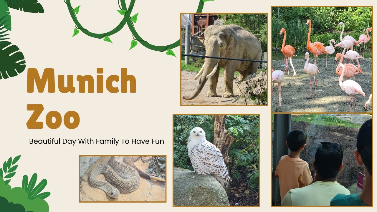 Family Day at Munich Zoo | Hellabrunn | Tierpark | Sea Life