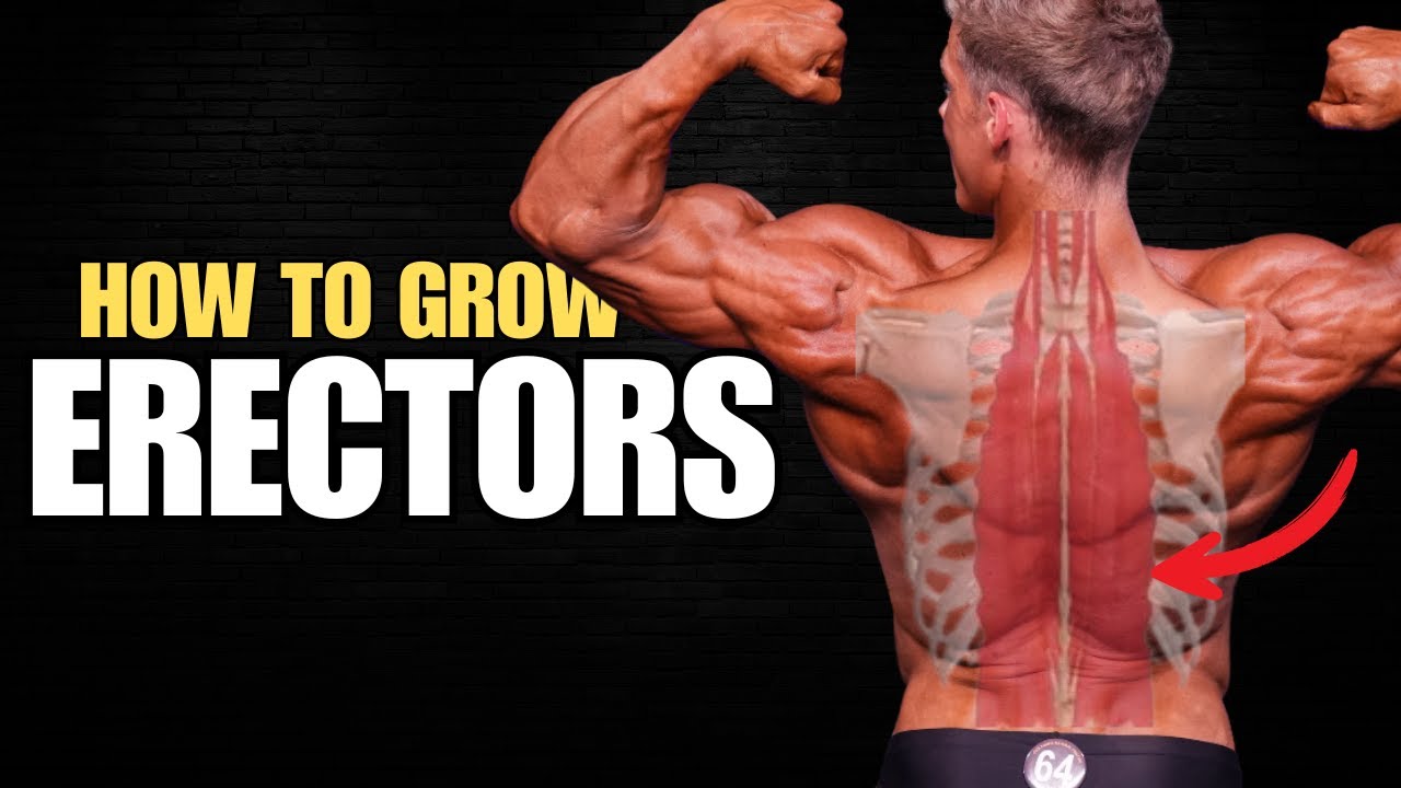 Why Your Back Looks Flat (And How to Fix It)