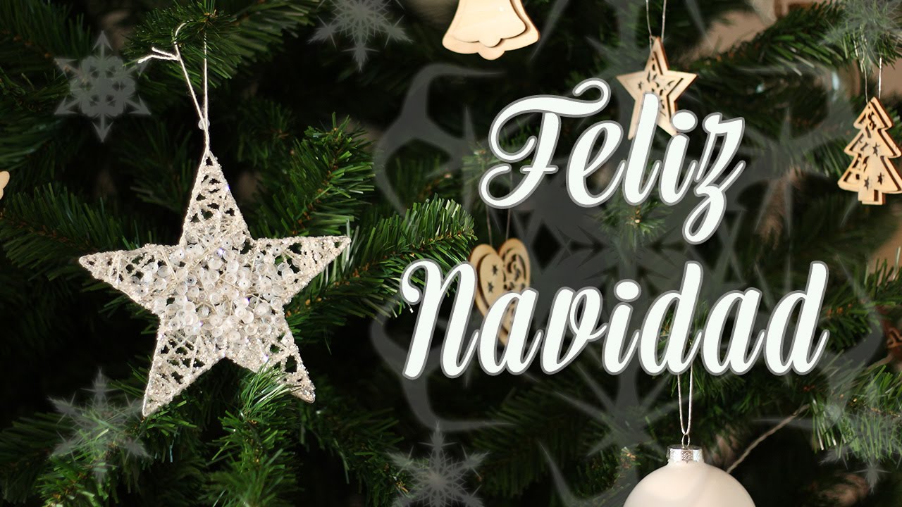 Feliz Navidad | &iexcl;Gracias!