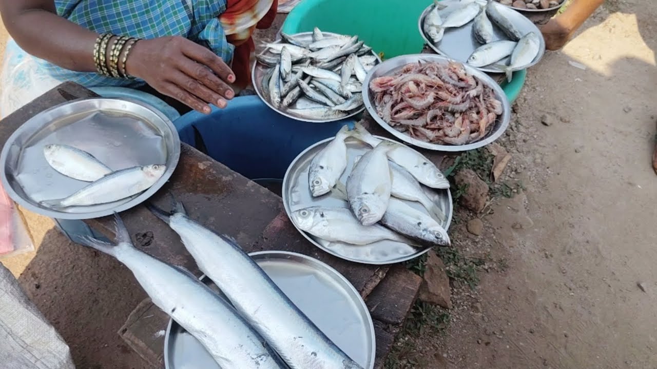 माश्याचो वार |Fish day🤩#konkan #gav #fishlover #konkanpremi #marathivlog #youtubevideo 