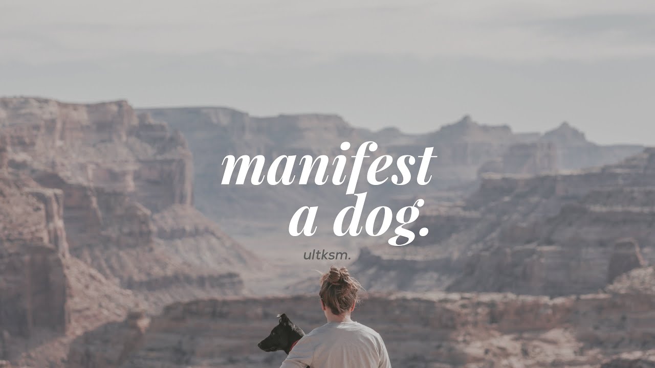 manifest a dog (forced).
