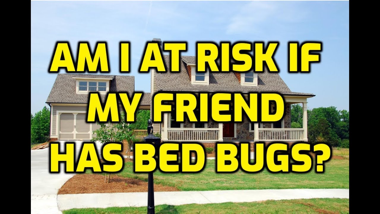 Am I At Risk If My Friend Has Bed Bugs?