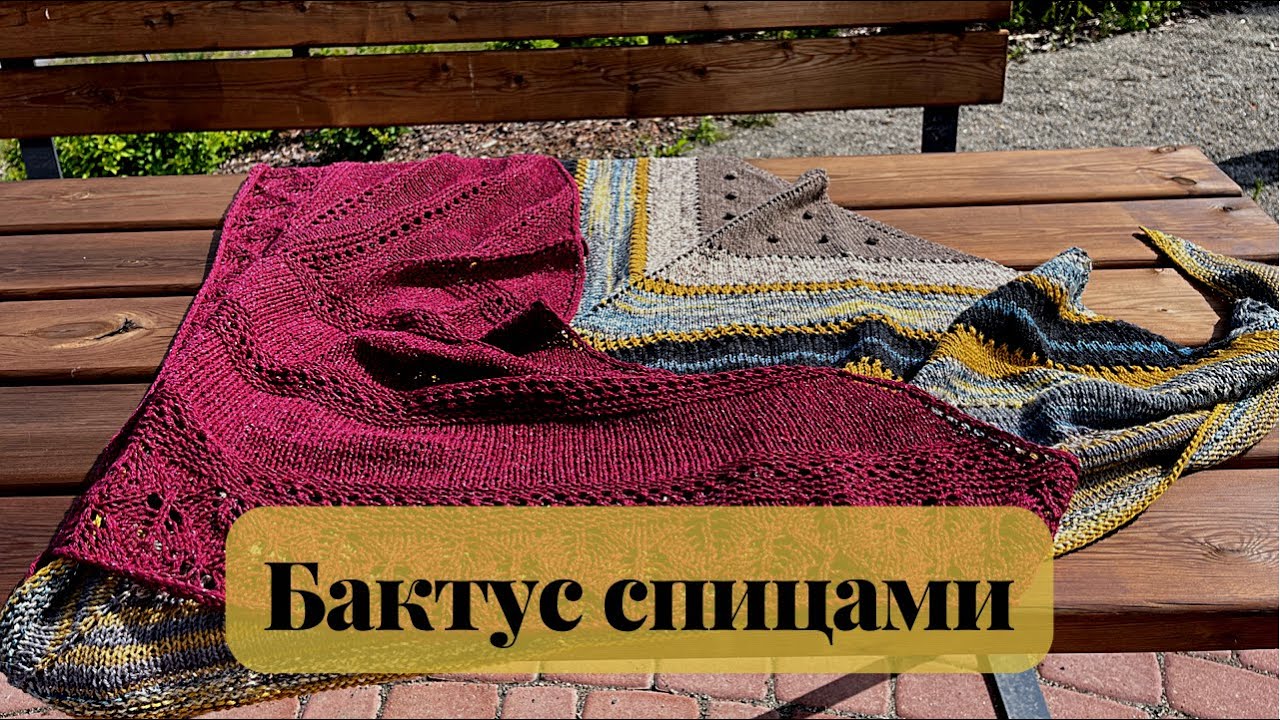 МК || БАКТУС МЕЧТЫ