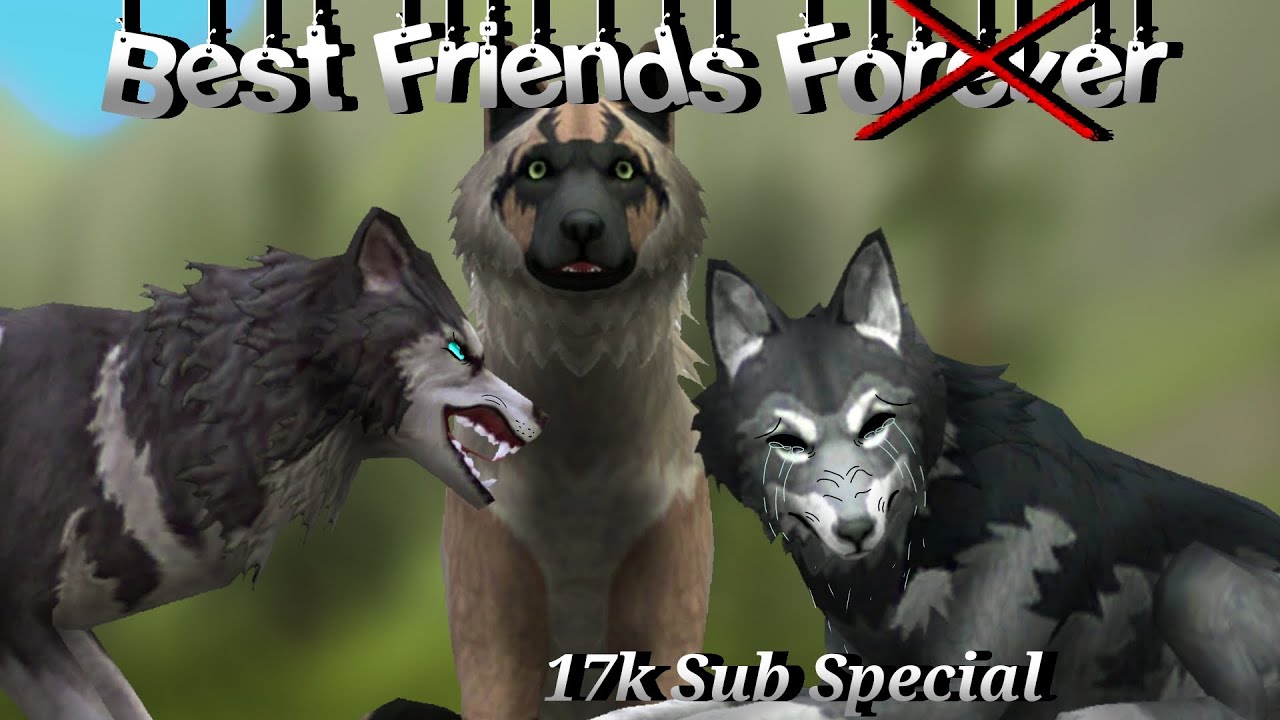 |Best Friends F❌️rever| 17k sub special// Wildcraft story//