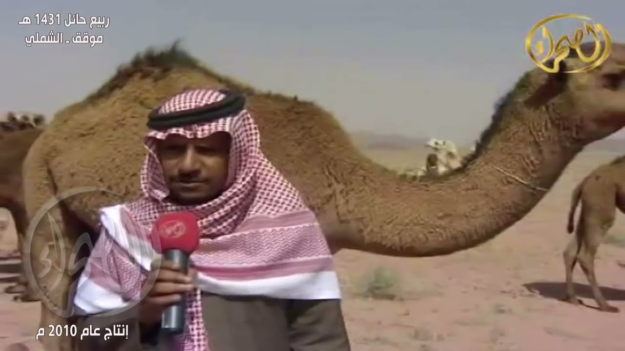 ربيع حائل 1431هـ || الجزء الأول || موقق ـ الشملي