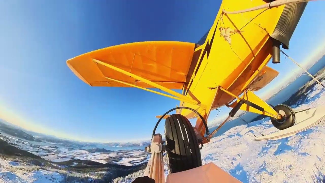 Carbon Cub LN BER on skiis a sunny winterday 23012025