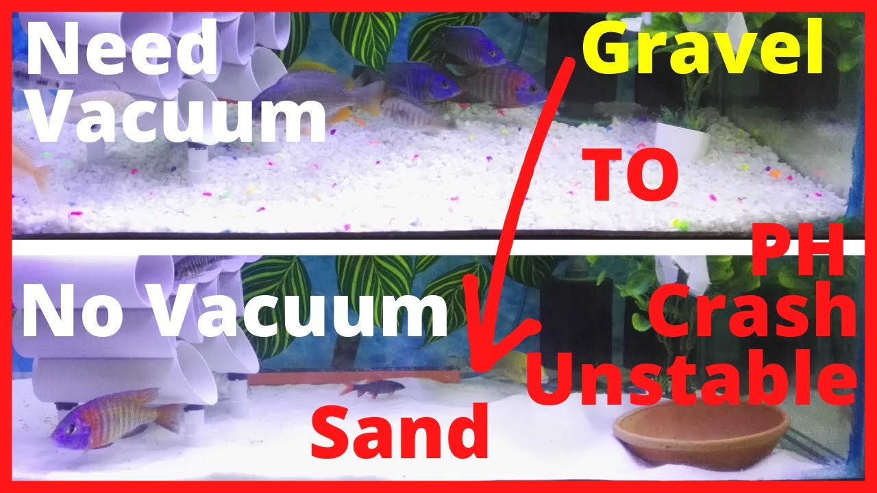 Aquarium Substrate Change or switch from Gravel to Sand Step by Step, Part02/02 Urdu/Hindi