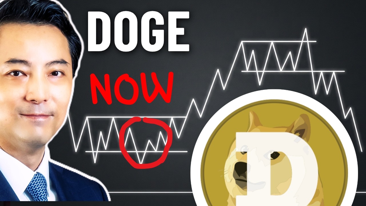 DOGE Price Analysis Using Wyckoff Method & Trend Channel For Beginners