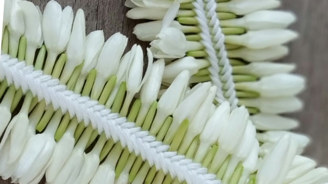 How to tie Jasmine flower in Criss Cross Method | Pinnal Jadai | பின்னல் பூ கட்டும் முறை | Method 1
