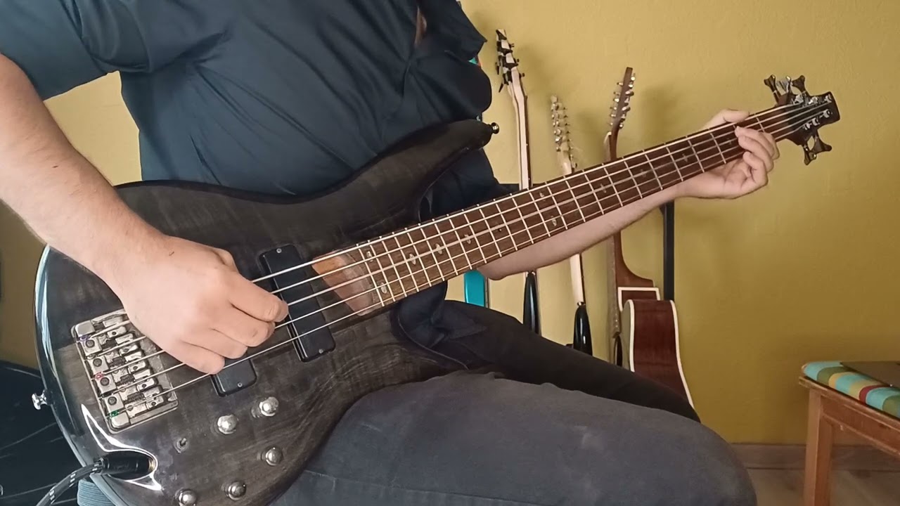 Tool Parabol/Parabola bass cover