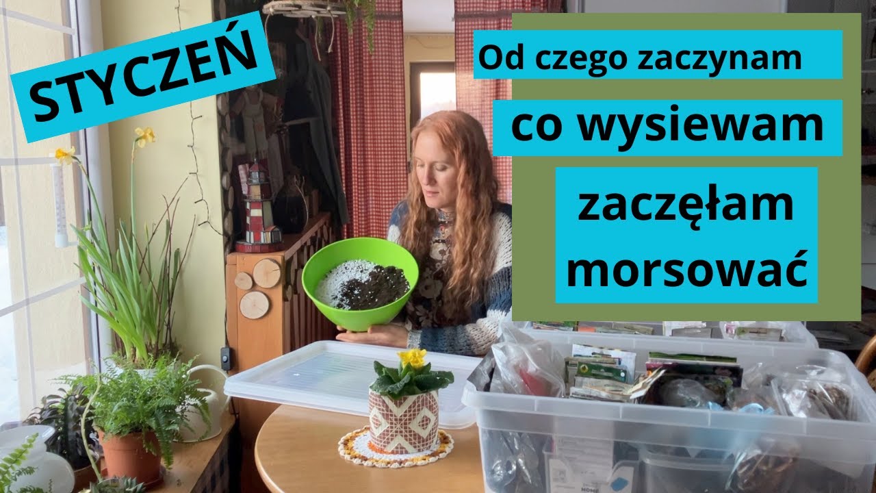 Te nasiona wysiewam w drugiej połowie stycznia/mycie okien, a rozsady.