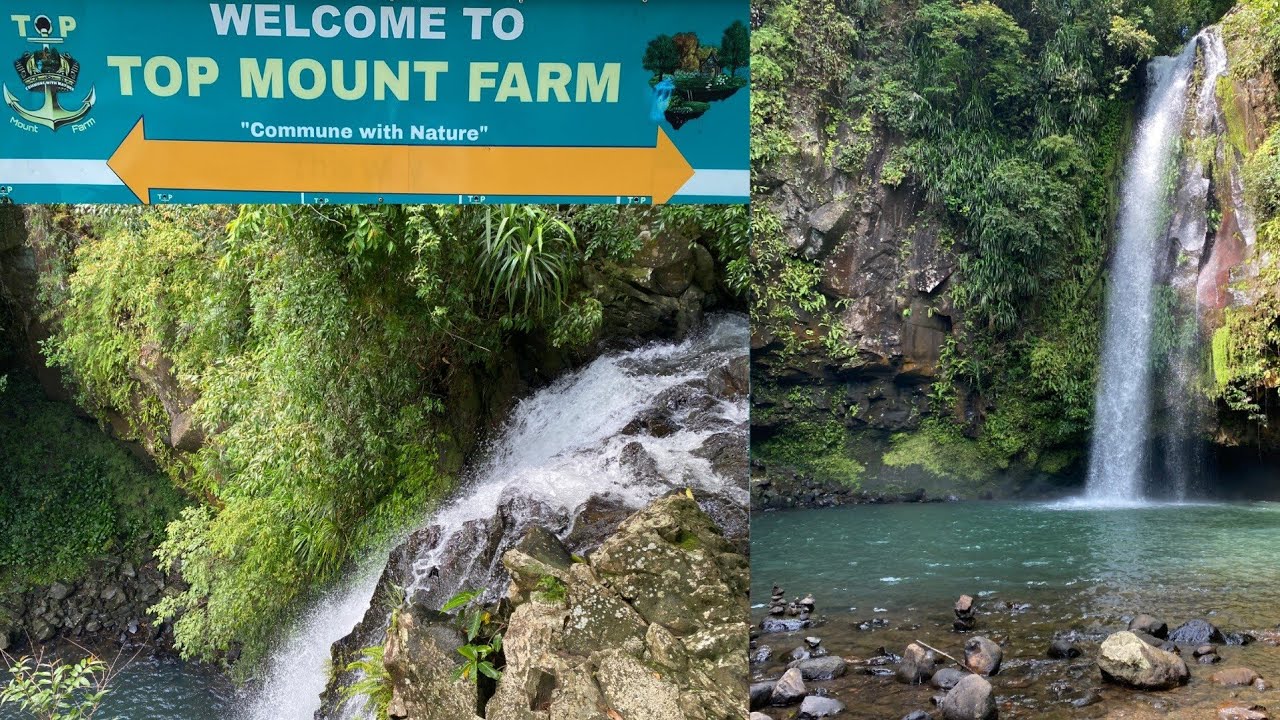 Top Mount Farm Pangil Laguna - Check description for video shortcuts