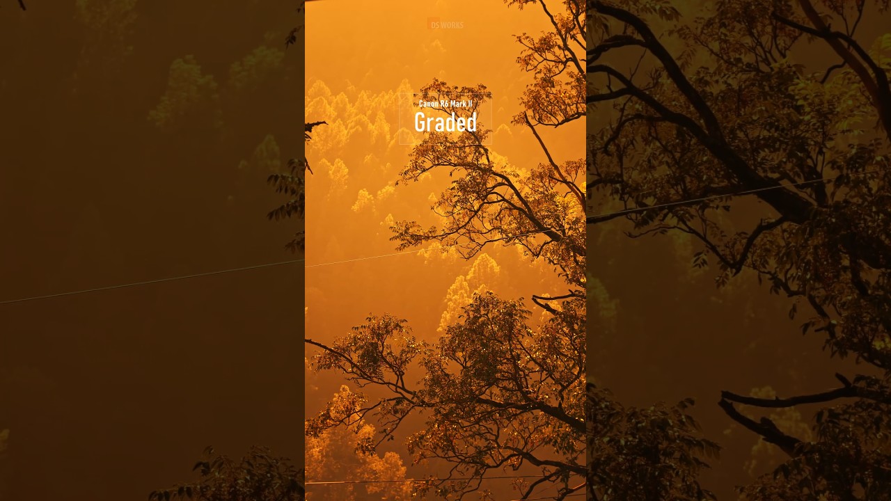 canon C-log Footage colorgrade cinematic shot R6 mark 2 #phonkmusic