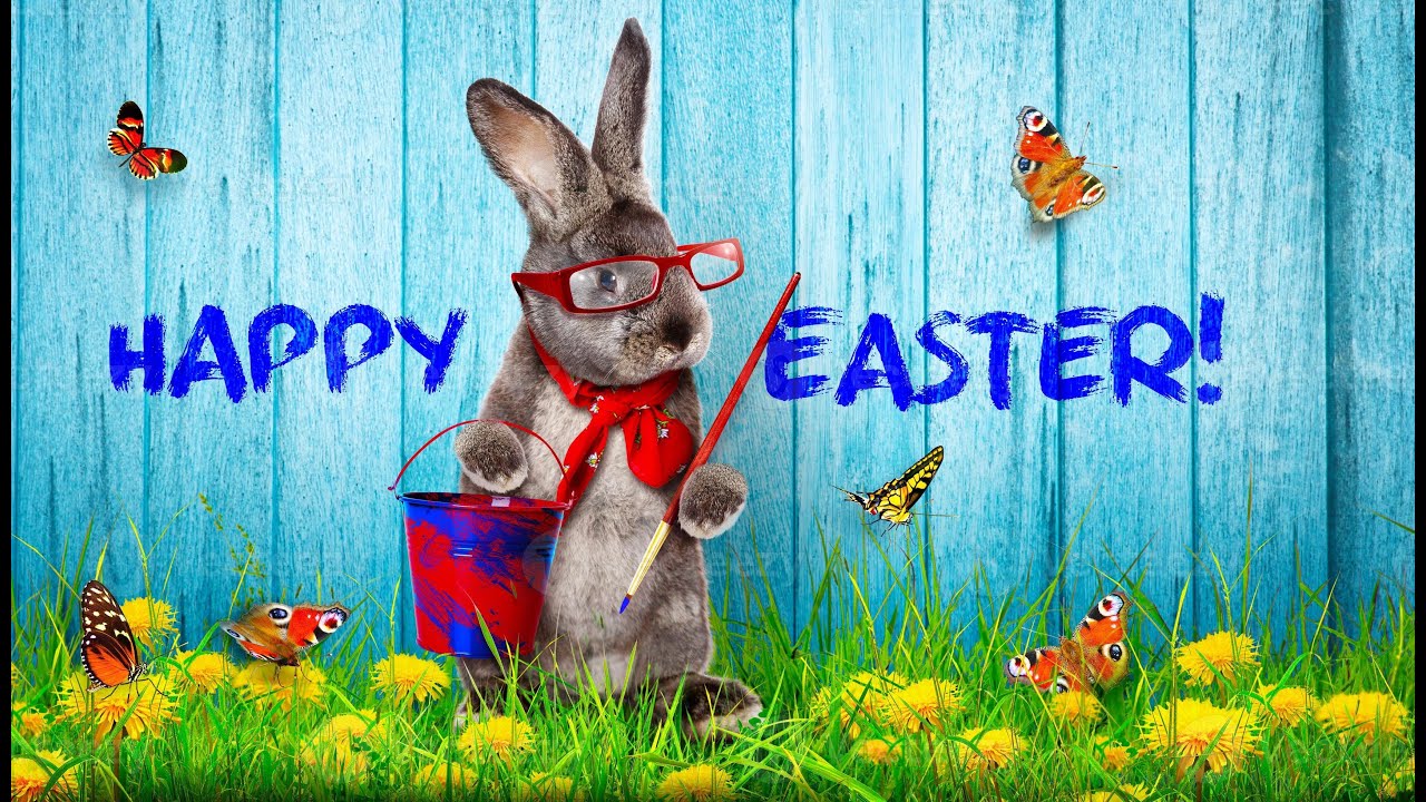 🐰🐰🐇Fr&ouml;hliche Ostertage,Lustige Ostergr&uuml;&szlig;e 2024, Frohe Ostern 2024, Buona Pasqua, Felices Pascuas,