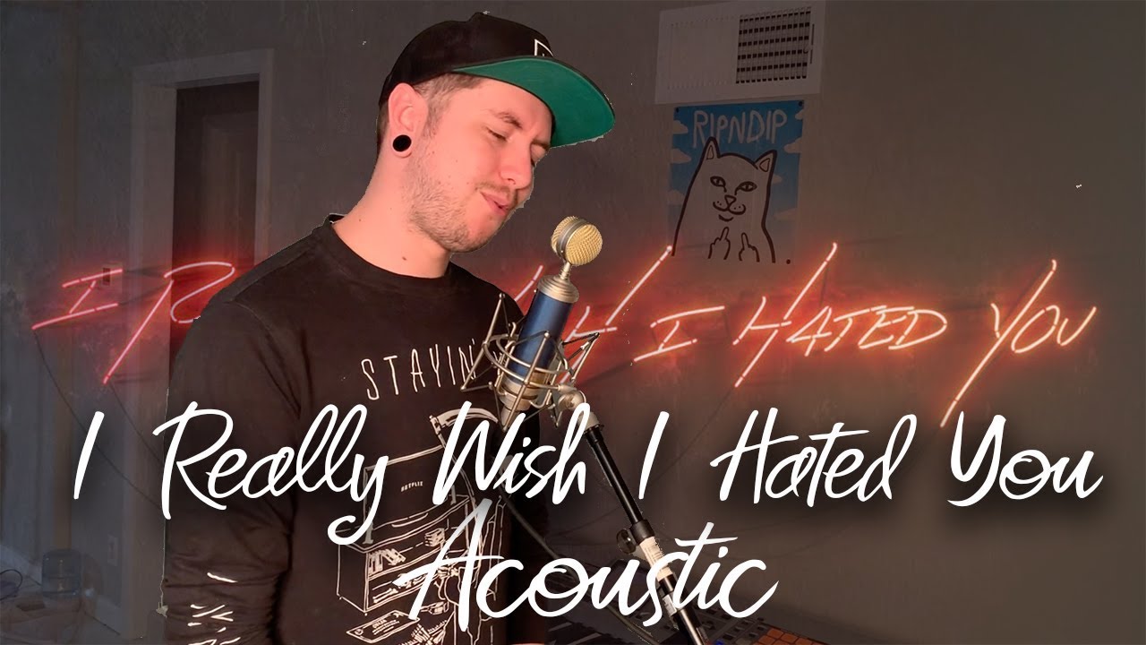 Blink-182 - I Really Wish I Hated You (acoustic)