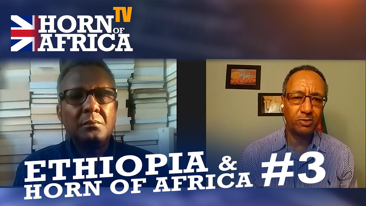 HoA TV  - #3 Ethiopia, Horn of Africa and beyond - Prof. Mohamed Hassan and Elias Amare, Sep 11 2020