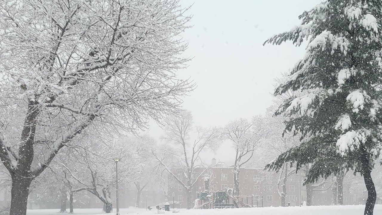 Newyork under the weather snowing all day !! Enjoy watching live Kids fun World is live!