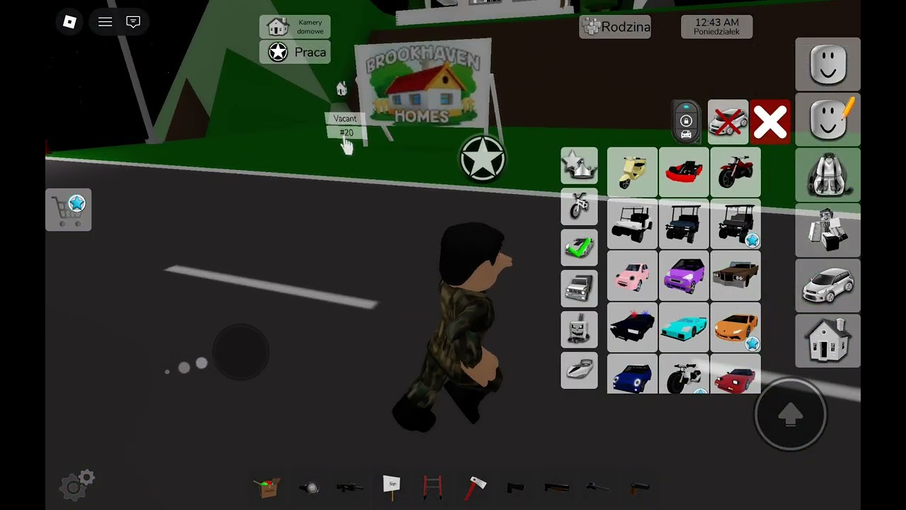 Wojsko Roblox (PT_1)