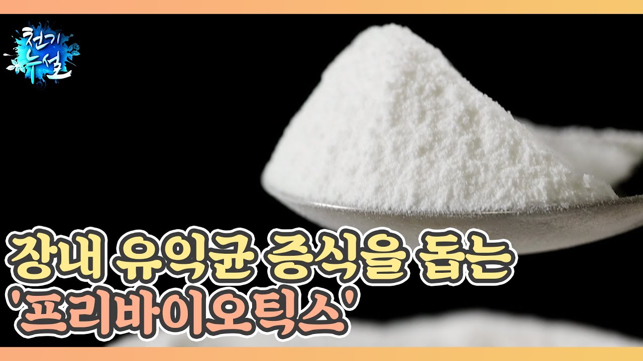 장내 유익균 증식을 돕는 '프리바이오틱스' MBN 220422 방송