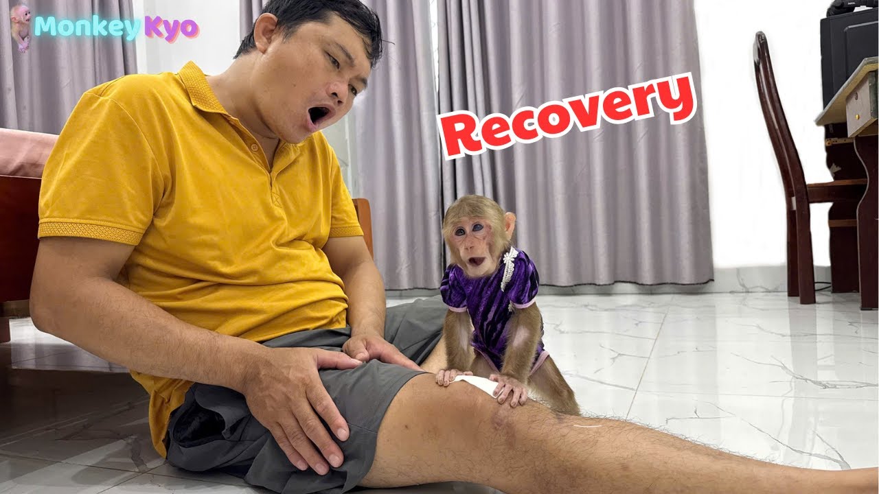 Monkey Kyo is determined to save Dad – and it will amaze you!