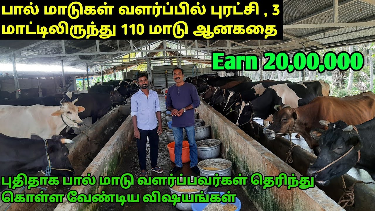 புதிதாக பால் பண்ணை ஆரம்பிப்பவர்கள் தெரிந்து கொள்ள வேண்டிய விஷயங்கள்/Earnings in dairy farming