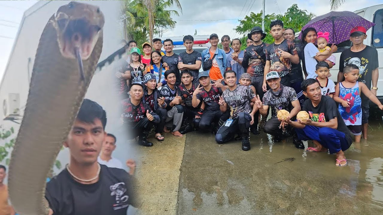 NAG SANIB PWERSA SA JUMBO KING COBRA