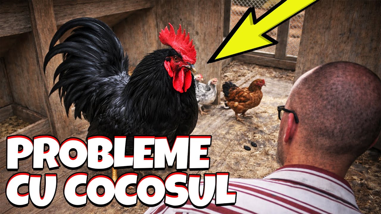 A IESIT TOTUL DE SUB CONTROL!! 😂 Ranch Simulator EP.13