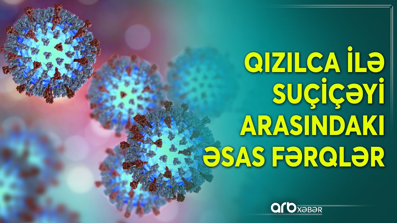 Qızılca və suçiçəyi arasındakı fərqlər: 