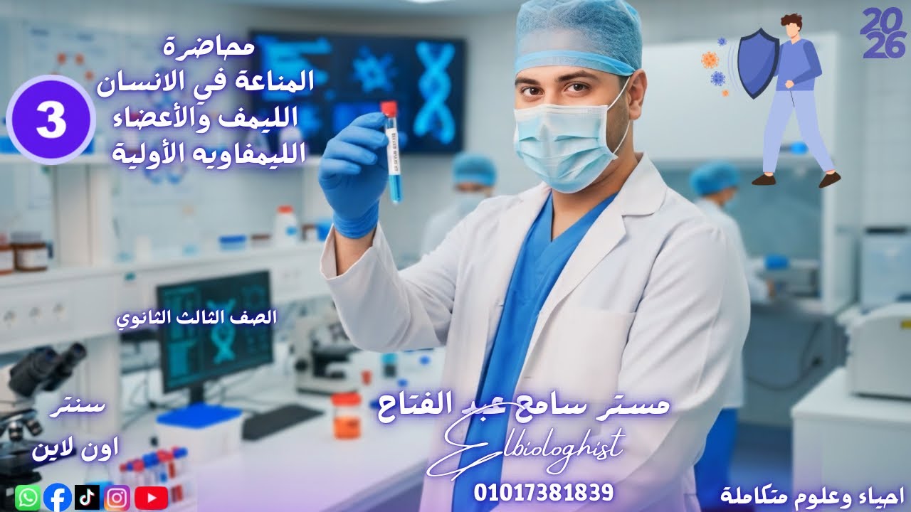 المحاضرة الثالثه المناعه في الانسان الليمف والأعضاء الليمفاويه الاوليه