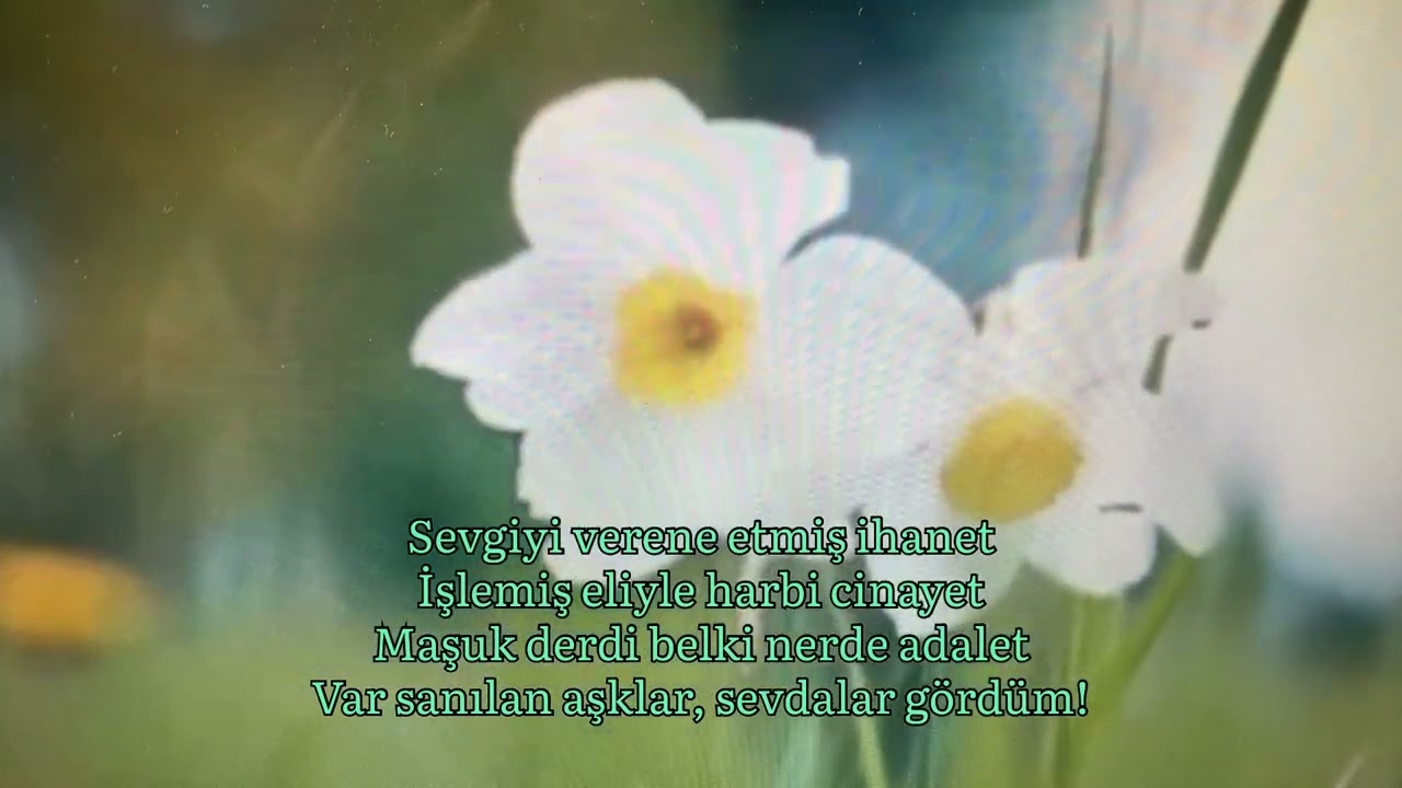 Ne Sevdalar Gördüm