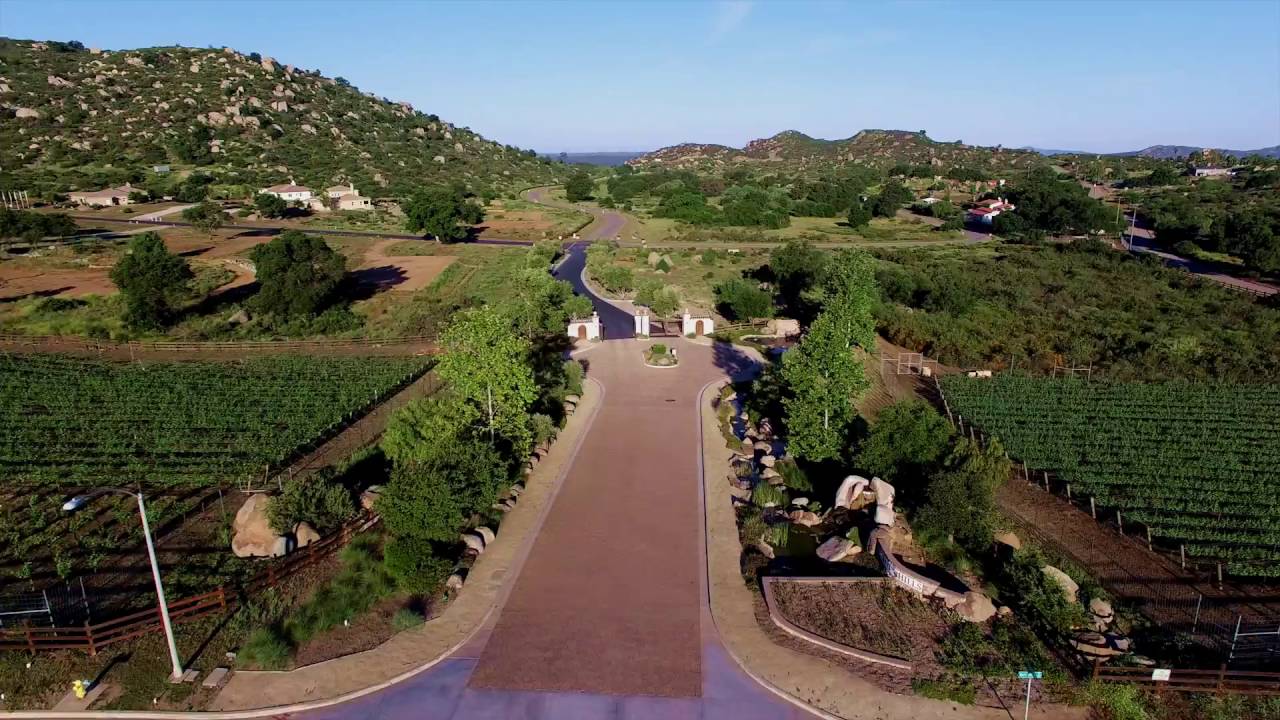 About Trevi Hills Winery in San Diego