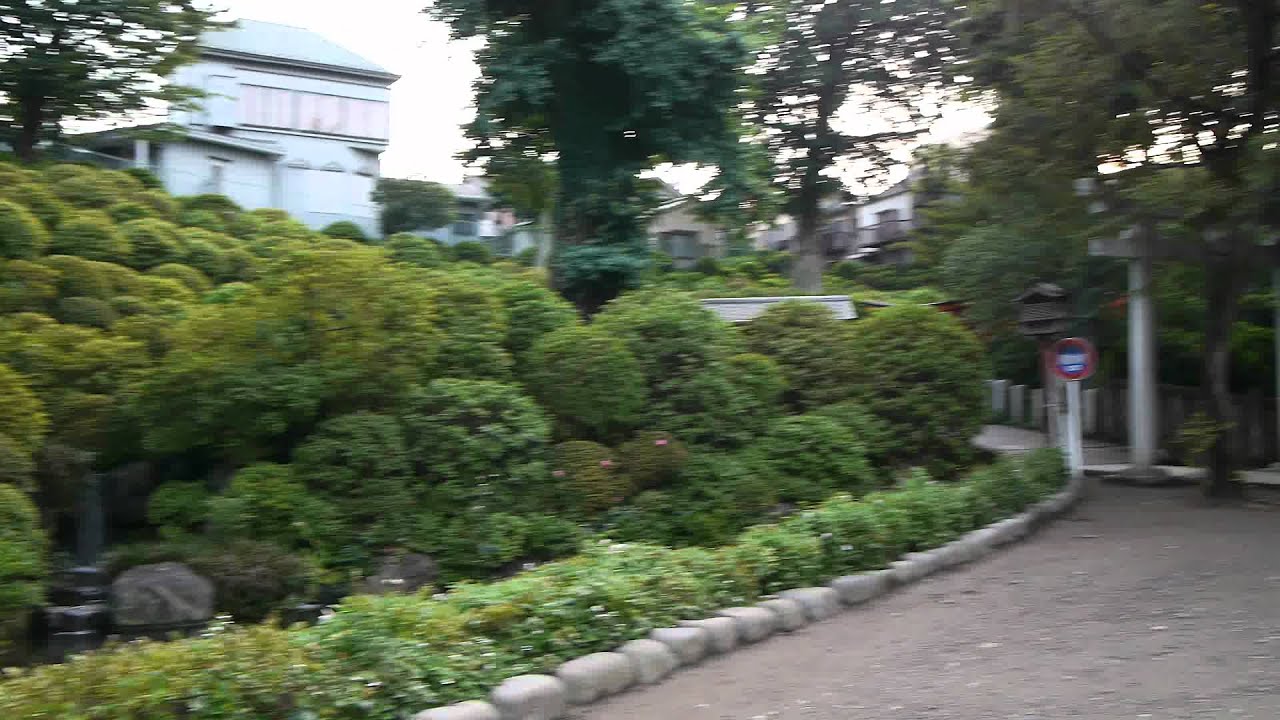 Hacked GH2 Test, 154Mbps GOP1 - 24H Cinema