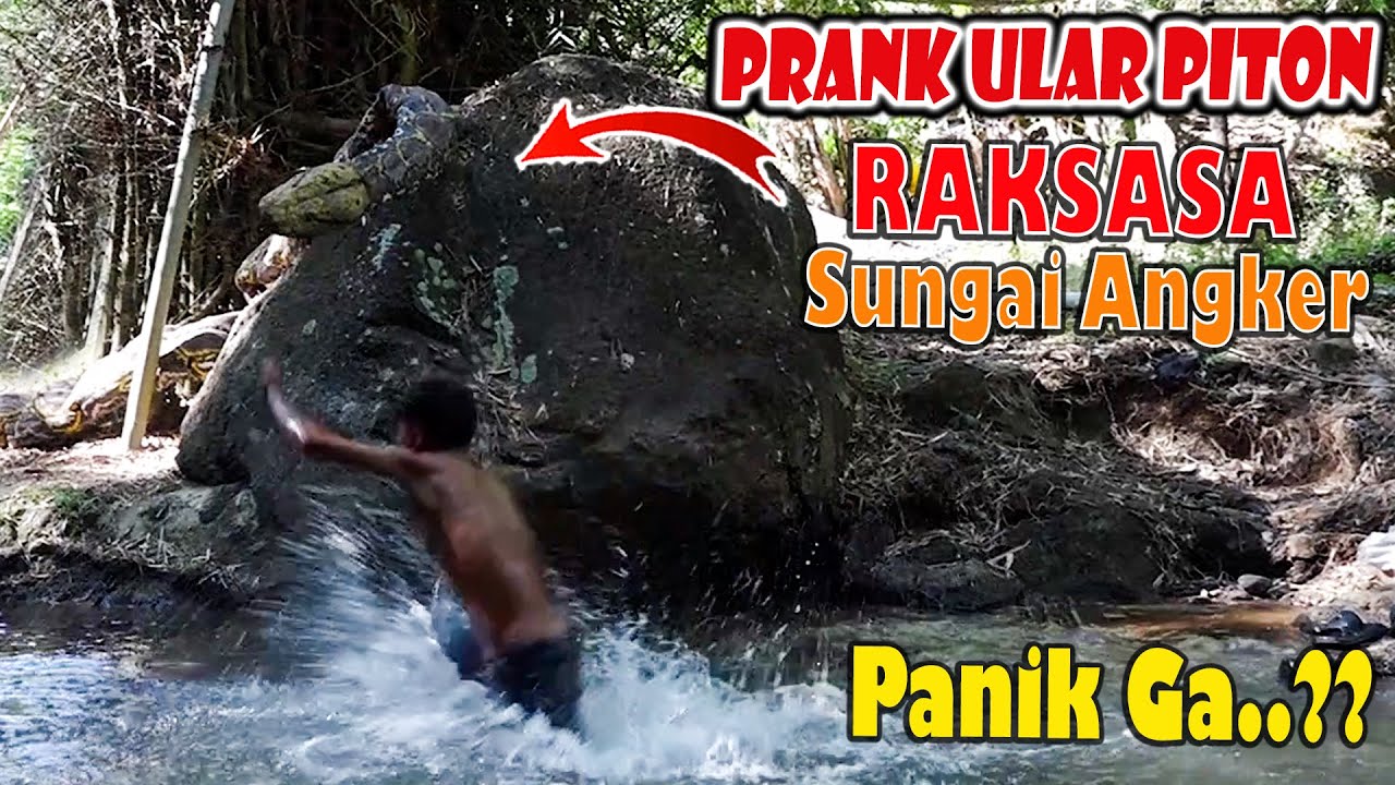 Prank Ular Piton Raksasa di Sungai Paling angker || Prank Ular Lucu Bikin Ketawa terbahak-bahak