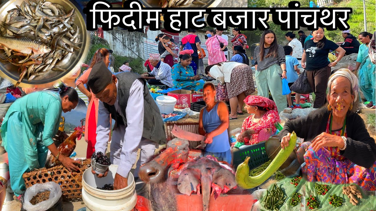 PHIDIM HAT BAZAR PANCHTHAR🇳🇵२१०० केजी रांगाको मासु बीक्री हुने बजार।तमोर नदीको मीठो असला माछा फ्राई🐟
