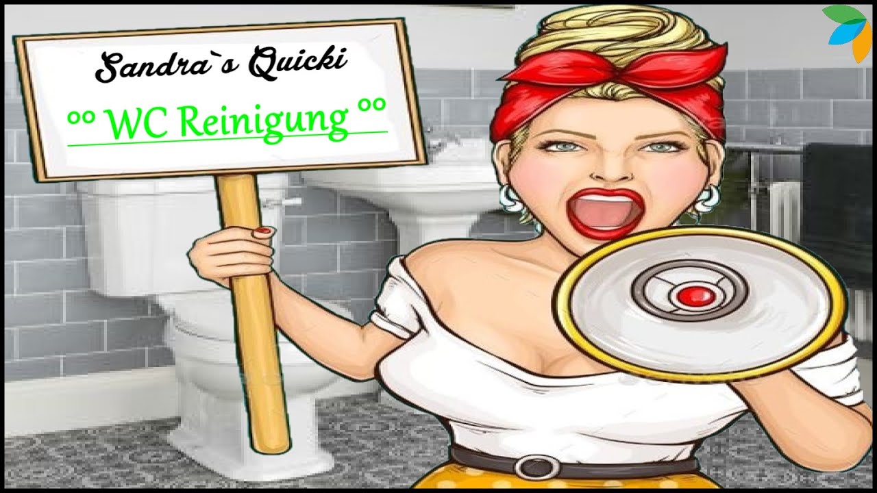 proWin - WC Reinigung