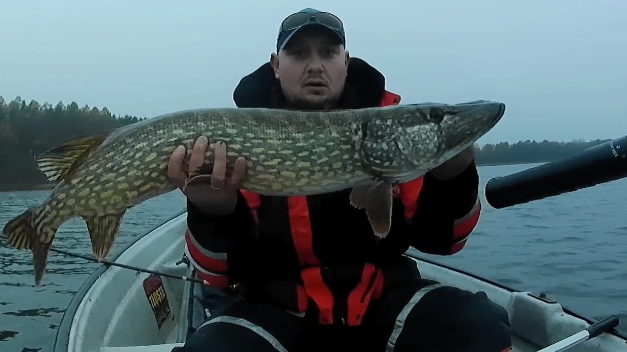 W KOŃCU JEST!!!Mój pierwszy METROWY szczupak. Długo na niego czekałem! Jesienny szczupak 100.5cm