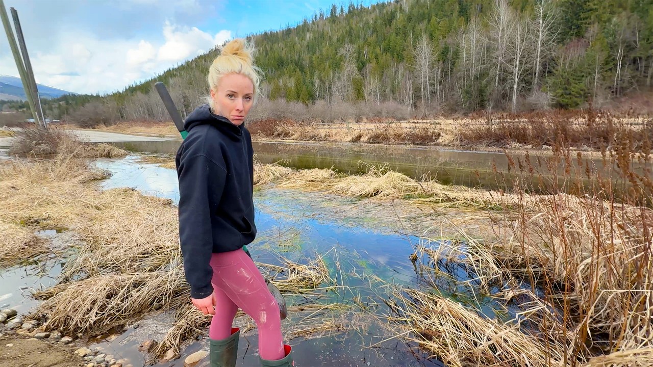 Flood Management On Our 3 Acre Property (Amazing Transformation!)