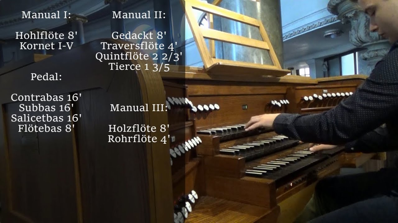 Prezentacja organów kościoła św. A. Boboli w Rawiczu - Tour of stops XVI