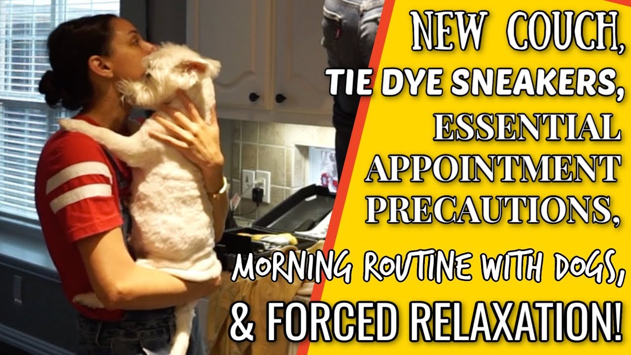 VLOG | Morning routine with FOUR dogs, tie dye sneakers, and new couch!
